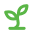 sprout